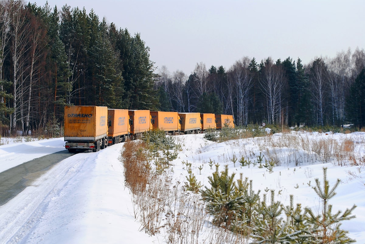DSC_1523-min.jpg